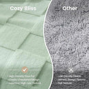 Cozy Bliss Checkered Faux Rabbit Fur Sage Green Throw Blanket, Soft Fuzzy Fluffy Minky Furry Blankets for Couch, Bed (50 * 60 Inches Light Green) by CozyNest Decor
