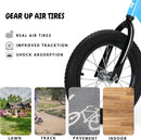 14 Inch Balance Bike for Kids 3-7 Year Old, Kids Bike with No Pedals, Air Rubber Tires, Adjustable Height, Pedalless Kids Bicycle for Boys, Girls by TinyTreasures Baby Boutique