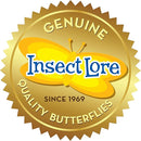 Insect Lore Raise and Release Butterfly Garden Kit – Caterpillar Habitat with redeemable Voucher – STEM-accredited Live Butterfly Growing Kit for Kids, Classrooms, and Homeschool Learning by TinyTreasures Baby Boutique