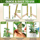 DUSPRO Natural Stackable Moss Pole for Plants Monstera, Forest Moss Sticks, Monstera Plant Support, Handmade Plant Stakes for Indoor Plants for Potted Plant to Grow Upward 02 pcs 22'' by GreenHaven Gardens