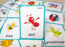 SANTSUN 14 Insects and Bugs Flashcards for Kindergarten Classroom Decoration Background Wall Stickers Teach Flash Card & Daycare Decorations Learning Cards by TinyTreasures Baby Boutique
