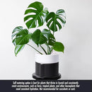 8 Inch Self-Watering Planter Pot with Terracotta Insert, Deep Water Reservoir, and Ceramic-Alike BPA-Free Plastic Planter Pot for Plant, Modern Planter for Houseplants, Black/White, 53-C-T-7 by CozyNest Decor