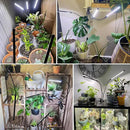 Wolezek Grow Lights for Indoor Plants, 2 Pack 6000K Full Spectrum Plant Lights Indoor, White LED Plant Growing Lamp with Auto ON & Off Timer 6/12/16H, 3 Modes, 5-Level Dimmable Brightness by GreenHaven Gardens