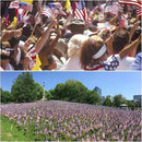 50 Pcs 12x18 Inch American Flags on Stick, American Flags, USA Stick Flag with Handheld and Grounded Multi-Purpose Flagpole, Design for Memorial Day, 4th of July, Veterans Day by GreenHaven Gardens