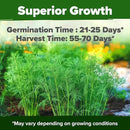 HOME GROWN 𝗨𝗦𝗔 𝗣𝗥𝗘𝗠𝗜𝗨𝗠 Dill Seeds for Planting 1,014 Bouquet Dill Seeds 𝗡𝗢𝗡-𝗚𝗠𝗢 and Heirloom Herb Seeds for Planting Outdoors, Grow Your Fragrant Dill Herb Garden (Anethum graveolens) by GreenHaven Gardens