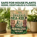 Organic Sea Kelp Fertilizer for Plants – Water-Soluble – Makes 100 Gallons – Kelp Meal Concentrate Plant Food – for Indoor Gardens, Hydroponics, Vegetables, Houseplants - Smart Grower - 4oz Bag by GreenHaven Gardens