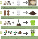10 Herb Seeds Garden Starter Grow Kit with Green Pots, Markers, Nutritional Soil, Watering, Herb Clipper, Complete Indoor Potted Plant Growing Set for Kitchen DIY by GreenHaven Gardens