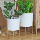 ARNIS Modern Planter Pots, Set of 2 Round Large Planters with Stand, Decorative Floor Planters, Metal Pots with Drainage Holes for Living Room, Office, Garden or Balcony, 8.25 &10.5 Inch, White & Gold by CozyNest Decor