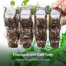 MIXC 360 Cells Seedling Starter Trays Transparent Seed Tray Grow Germination Kit with 30 Plant Lables(1.5 inch x 12 Cells per Tray, 30 Trays) by GreenHaven Gardens