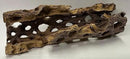 Natural Cholla Wood Chunk Large Air Plant Display Holders Individually Unique Decorative Stands or Holder (Cholla Chunk Large) by GreenHaven Gardens