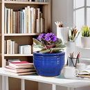 African Violet Pots Self Watering Round Ceramic Violet Pot (Blue, 6 inch) by GreenHaven Gardens