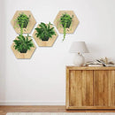 Hexagonal Wooden Wall Planter, Self Watering Living Vertical Planters Indoor, Wooden Frame Planter Wall Decoration Home Office 2pc by CozyNest Decor