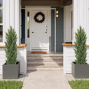 THE BLOOM TIMES 5ft Topiary Trees Artificial Outdoor – UV Resistant Faux Cedar Pine Cypress Bushes and Shrubs, Fake Potted Plants for Front Porch Outside Planter Patio Decor, Set of 2 (5 Foot) by GreenHaven Gardens