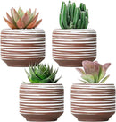 Mini Succulent Planter Set – 3.7 Inch Ceramic Pots with Drainage for Indoor Plants, Small Decorative Flower Pots for Cactus and House Plants, Set of 4 by CozyNest Decor