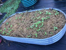 2 Pack 8x4x1FT Galvanized Raised Garden Bed Kit Oval Metal Ground Planter Box Outdoor Bottomless Planter Raised Beds for Vegetables Flowers Herbs Fruits, Gray by CozyNest Decor