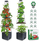 MQFORU 2Pack Raised Garden Bed Planter Boxes with Trellis, 57" Self-Watering Tomato Planter Boxes with Trellis for Climbing Vegetable and Plants, Tomato Cage for Indoor Outdoor Use by GreenHaven Gardens