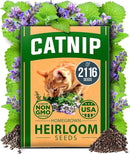 HOME GROWN 𝗨𝗦𝗔 𝗣𝗥𝗘𝗠𝗜𝗨𝗠 Catnip Seeds (Bulk Pack) 𝗡𝗢𝗡-𝗚𝗠𝗢 Heirloom Herb 2,116 Seeds - Indoor or Outdoor Seed - High-Germination Cat Nip - Cat Safe Plants (Nepeta cataria) by GreenHaven Gardens