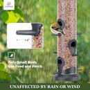 Kingsyard 2 Pack Tube Feeders with 6 Feeding Ports for Outdoors Hanging, Premium Hard Plastic Weatherproof & Steel Hanger, Attracting for Wild Birds (Black) by CozyNest Decor