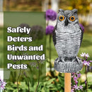 Ezoon 3 Pack Owl Decoy to Scare Birds Away, Fake Owl Scarecrows, Pigeon Deterrent, Plastic Owl Statue for Outdoor Garden Yard by GreenHaven Gardens