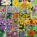Eden Brothers All Perennial Wildflower Mixed Seeds for Planting, 10 lb, 4,800,000+ Seeds with Lupine, Shasta Daisy | Attracts Pollinators, Plant in Spring or Fall, Zones 3, 4, 5, 6, 7, 8, 9, 10 by GreenHaven Gardens