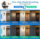 VIANIS Oil Rubbed Bronze Dusk to Dawn Motion Sensor Porch Light, Anti-Rust Aluminum Frame, Tempered Glass, 100% Weather Resistant, Easy Installation, Fits Standard E26 Bulbs by GreenHaven Gardens