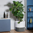 D'vine Dev 14 Inch Ceramic Planter Pot with Drainage Hole and Saucer, Indoor Cylinder Round Planter Pot, White/Speckled Grey, 94-O-G-6 by GreenHaven Gardens