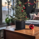 8 Inch Pots for Plants, Ceramic Planter Pot with Drainage Hole & Saucer, Indoor/Outdoor Cylinder Round Planter Pot, Matte Black by GreenHaven Gardens