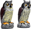 2 Packs Fake Plastic Owl Statue, Multicolor Garden Owl Statue, Plastic Statue for House, Garden, Pool, Yard. by GreenHaven Gardens