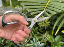 Indoor Plant Shears Garden Scissors, Flower Pruners Made of Japan SK5 Stainless Steel, Flowers Herbs and Plant Cutters, Clippers, Trimmers, Loppers, Bonsai Potted Plant Pruning Scissors by GreenHaven Gardens