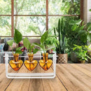 Plant Terrarium Propagation Stations with Wooden Stand Birthday Gifts for Women Plant Stand Indoor Office Home Decor by GreenHaven Gardens
