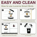 SWISSINNO No Mess Bird Feeder Lucerne Smart Birds for Fat Balls - Feed Birds, not mice & Rats! Robust & Reliable for Hanging - Light Grey by CozyNest Decor
