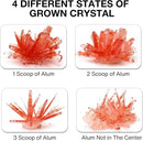 BenBen Crystal Growing Kit for Kids, Grow 6 Crystals with Light Up Display Stand, Educational STEM Toys for Girls and Boys, Science Kit for Kids Age 8-14, Birthday Gifts Science Experiments by TinyTreasures Baby Boutique