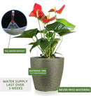 Dexceder 13x12 Self Watering Planter with Wheels Indoor Outdoor, Inner Pot Design, Thickened Large Floor Standing Flower Plant Pot with Water Level Indicator (Black Gold Crackle) by GreenHaven Gardens