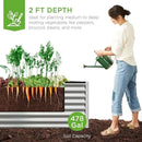 Best Choice Products 8x4x2ft Outdoor Metal Raised Garden Bed, Deep Root Planter Box for Vegetables, Flowers, Herbs, and Succulents w/ 478 Gallon Capacity - Silver by GreenHaven Gardens