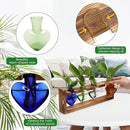 Plant Propagation Stations Heart Plant Terrarium Kit Gift for Women Plant Lover Glass Vases by GreenHaven Gardens