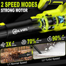 SILVEL Cordless Leaf Blower with 2x6.0Ah Battery and Quick Charger, 750CFM (250MPH) High Power Turbo Leaf Blowers with LCD Screen/Variable Speeds for Lawn Care, Patio, Dust, Blowing Leaves by GreenHaven Gardens