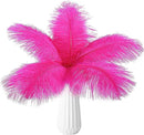 THARAHT Hot Pink Ostrich Feathers 24pcs Natural Bulk 10-12Inch 25cm-30cm for Crafts Wedding Party Centerpieces Easter Gatsbi and Home Decoration Feathers by CozyNest Decor