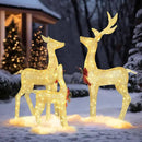 4.5FT Lighted Reindeer Family Set for Christmas Decoration, 3 Pieces Pre-Lit Iridescent Deer with 200 LED Lights, 3D Glittered Standing Holiday Display for Outdoor, Indoor, Golden by CozyNest Decor