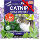 NatureZ Edge Catnip Seeds for Planting, 2200+ Herb Seeds, Indoor or Outdoor Growing, Cat Nip Seeds, Your Cat Will Love Them, Non-GMO by GreenHaven Gardens