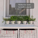 SCANDINORDICA Galvanized Metal Herb Planter, 5 Pots with Drainage Holes, Indoor Outdoor Use, Farmhouse Decor, 19.5x3.9x3.5 inches by GreenHaven Gardens