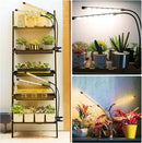 Grow Lights for Indoor Plants, 4 Heads Full Spectrum LED Plant Lamps with Clips and 10 Feet Cables for Seeding Growing(2 Pack) by GreenHaven Gardens