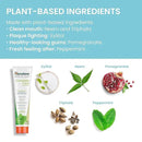 Himalaya Botanique Complete Care Toothpaste, Herbal, Peppermint Flavor, Fights Plaque, Freshens Breath, Fluoride Free, No Artificial Flavors, SLS Free, Cruelty Free, Foaming, 5.29 Oz, 4 Pack… by CozyNest Decor