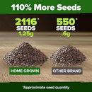 HOME GROWN 𝗨𝗦𝗔 𝗣𝗥𝗘𝗠𝗜𝗨𝗠 Catnip Seeds (Bulk Pack) 𝗡𝗢𝗡-𝗚𝗠𝗢 Heirloom Herb 2,116 Seeds - Indoor or Outdoor Seed - High-Germination Cat Nip - Cat Safe Plants (Nepeta cataria) by GreenHaven Gardens