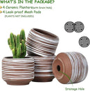 Mini Succulent Planter Set – 3.7 Inch Ceramic Pots with Drainage for Indoor Plants, Small Decorative Flower Pots for Cactus and House Plants, Set of 4 by CozyNest Decor