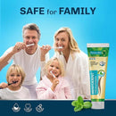 Bentodent Remineralizing Food Grade Organic Calcium Bentonite Clay Toothpaste Fluoride Free Natural Toothpaste for Adult & Kids - Mineral Toothpaste Sensitive Teeth Whitening (Premium Mint) by CozyNest Decor
