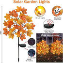 TORONTOKYO 4 Pack Fall Solar Outdoor Lights, Fall Decor 80 LED Maple Leaves Solar Stake Light with 8 Modes, Waterproof Fall Garden Lights Thanksgiving Decorations for Autumn Yard Pathway Outside by GreenHaven Gardens