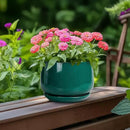 G EPGardening 6 Inch Plant Pot - Ceramic Planter for Indoor Plants, Round Planter with Drainage and Ceramic Tray, Flower Pots for Outdoor, Modern House Decor, Gift for Men Women, Green