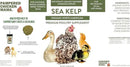 Organic Kelp for Chickens & Duck Feed (5 Pound): Chicken Vitamins | Chicken Supplements | Vitamins for Chickens | Pampered Chicken Mama by GreenHaven Gardens