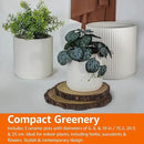 Amazon Basics Assorted Sizes Fluted Ceramic Round Indoor Outdoor Planters with Drainage, Set of 3, Modern Design, 6 inch, 8 inch, 10 inch, White by CozyNest Decor