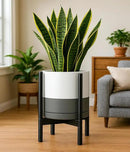 D'vine Dev Ceramic Planter with Ebony Stand - 12 Inch Modern Round Flower Pot with Wood Planter Holder, White/Grey, 55-B-H-6 by CozyNest Decor